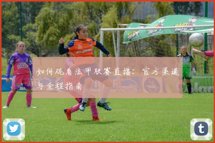 如何观看法甲联赛直播：官方渠道与全程指南